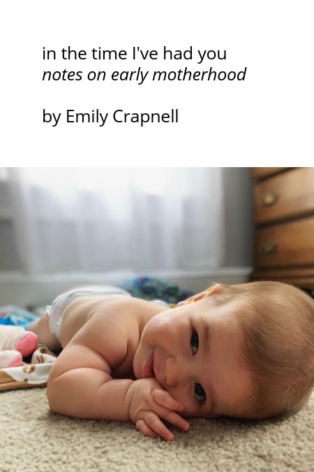 in the time I've had you — book cover